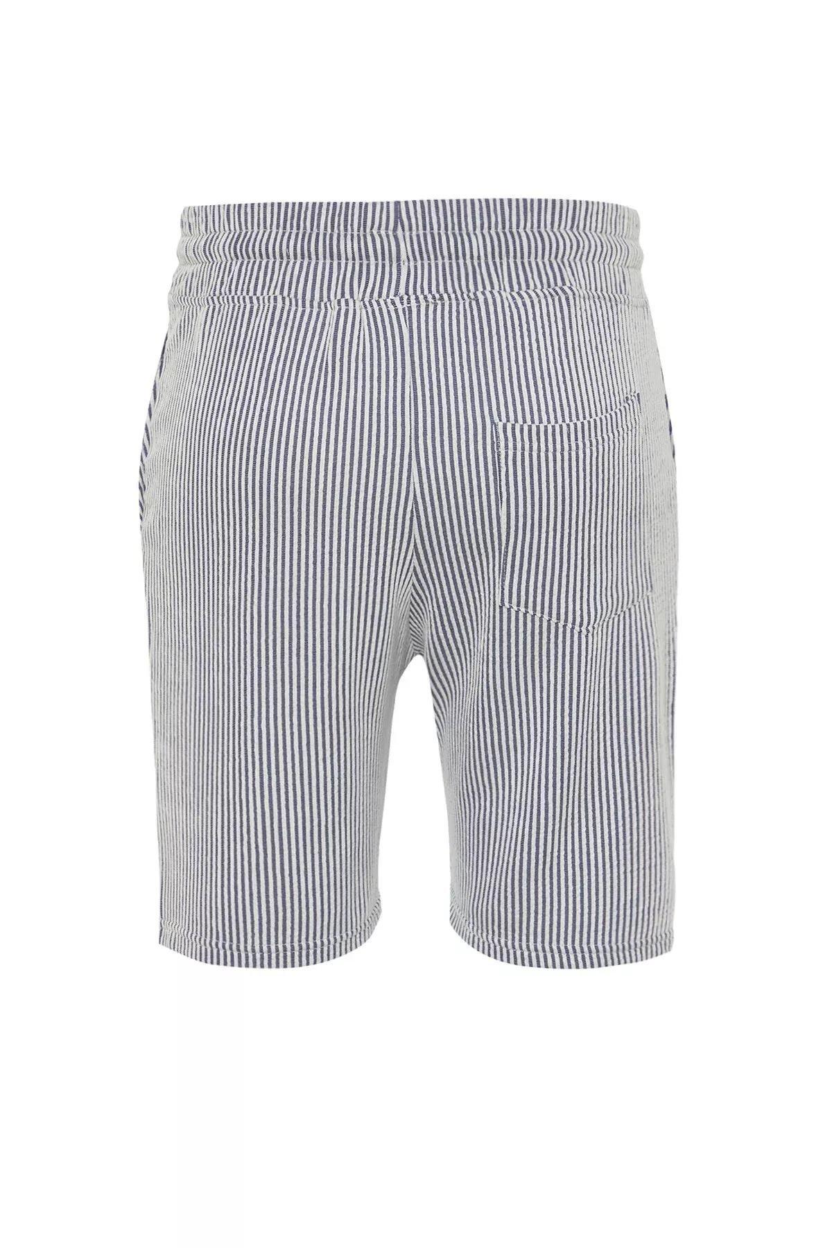 Blue Striped Regular Shorts, DARK BLUE, large image number 6