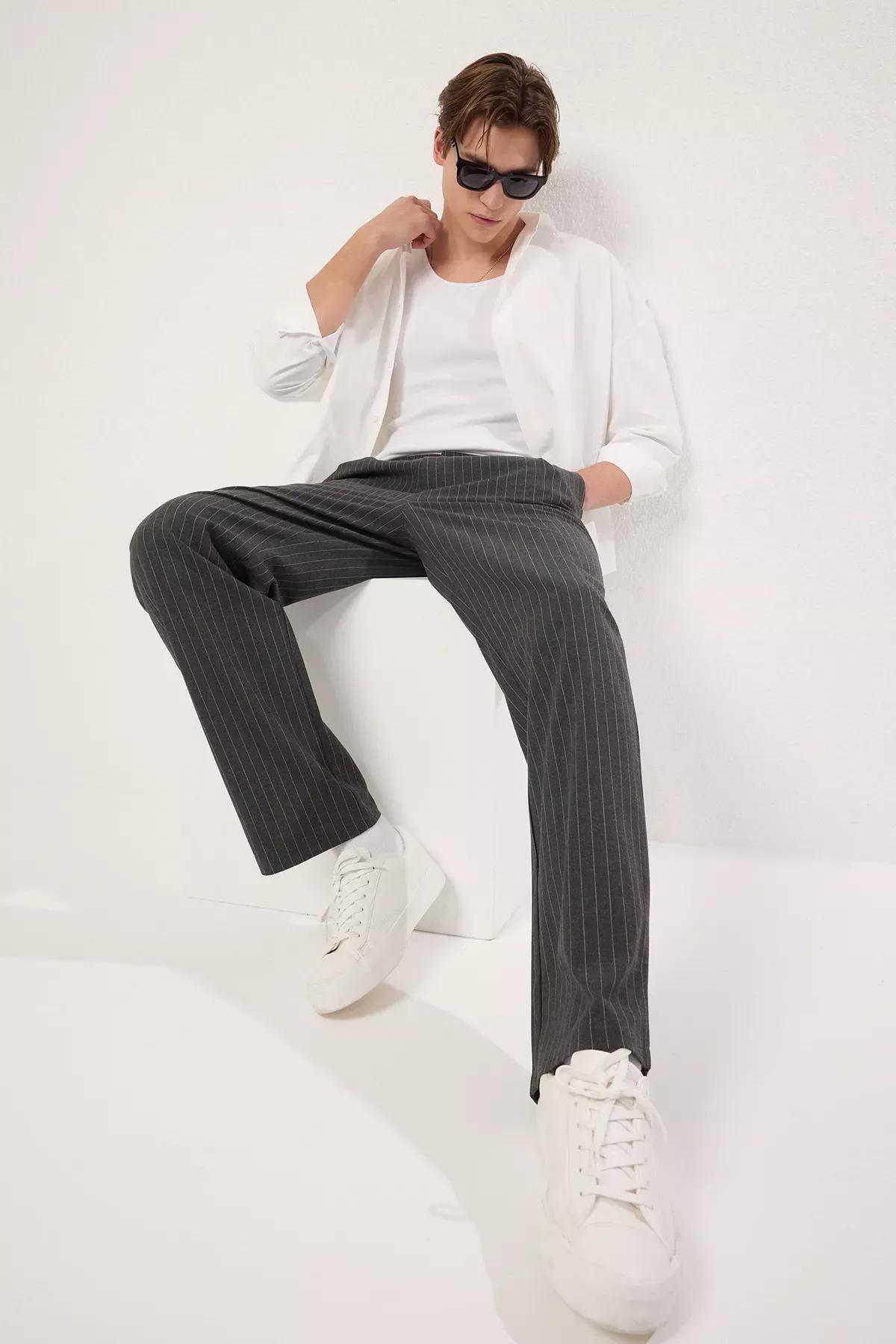 Grey Striped Pleated Trousers, , large image number 1