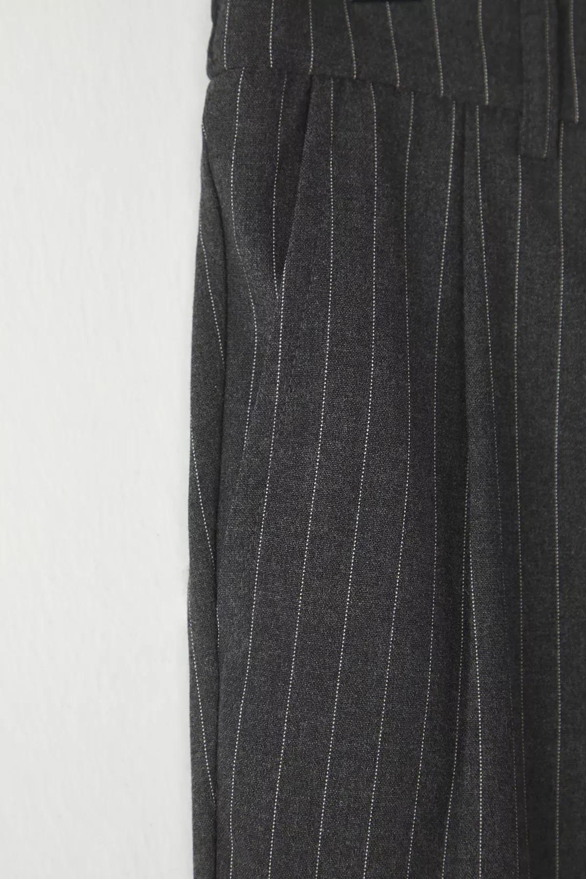 Grey Striped Pleated Trousers, , large image number 5