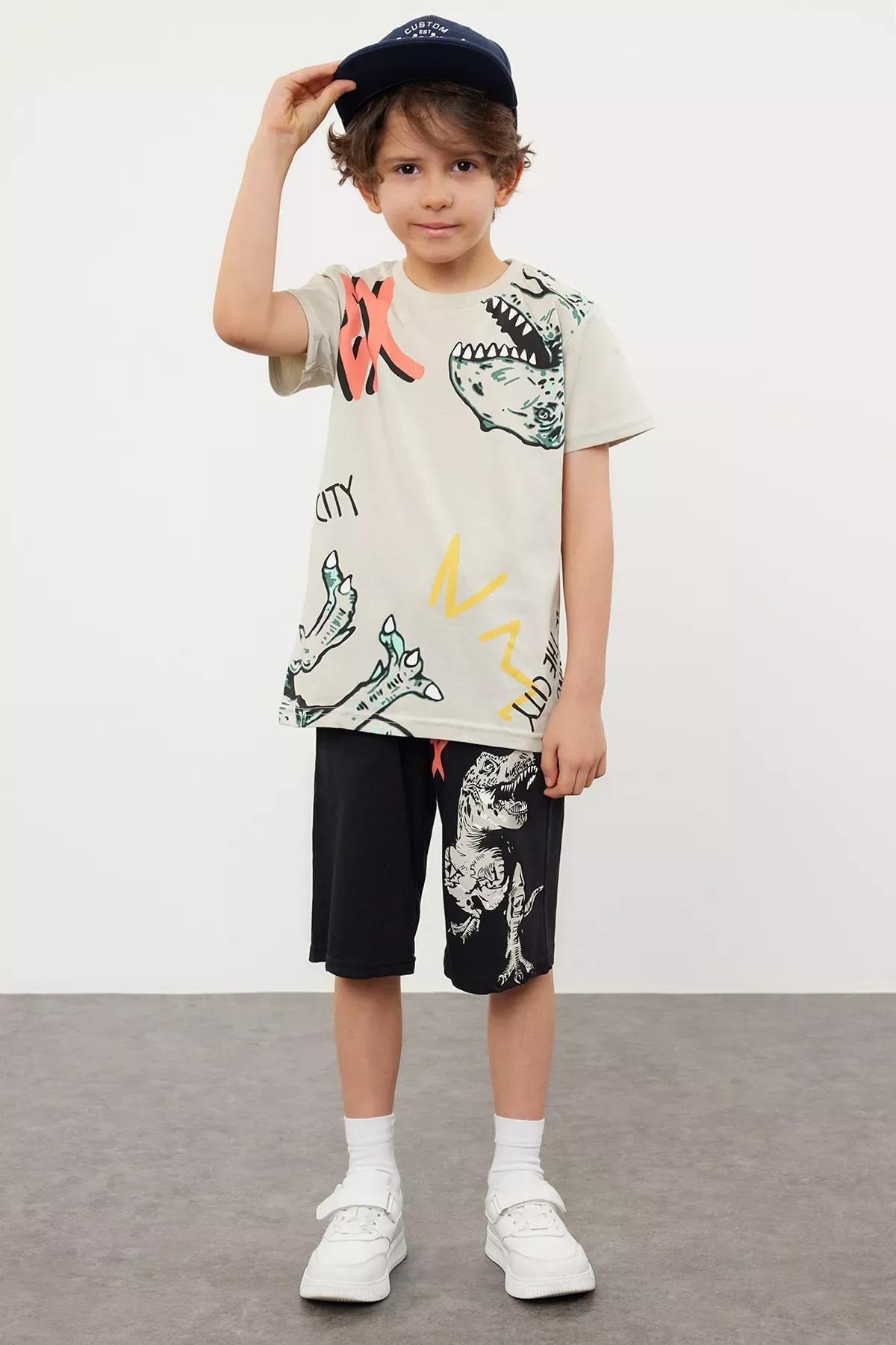 Navy Dinosaur T-Shirt Set, , large image number 0