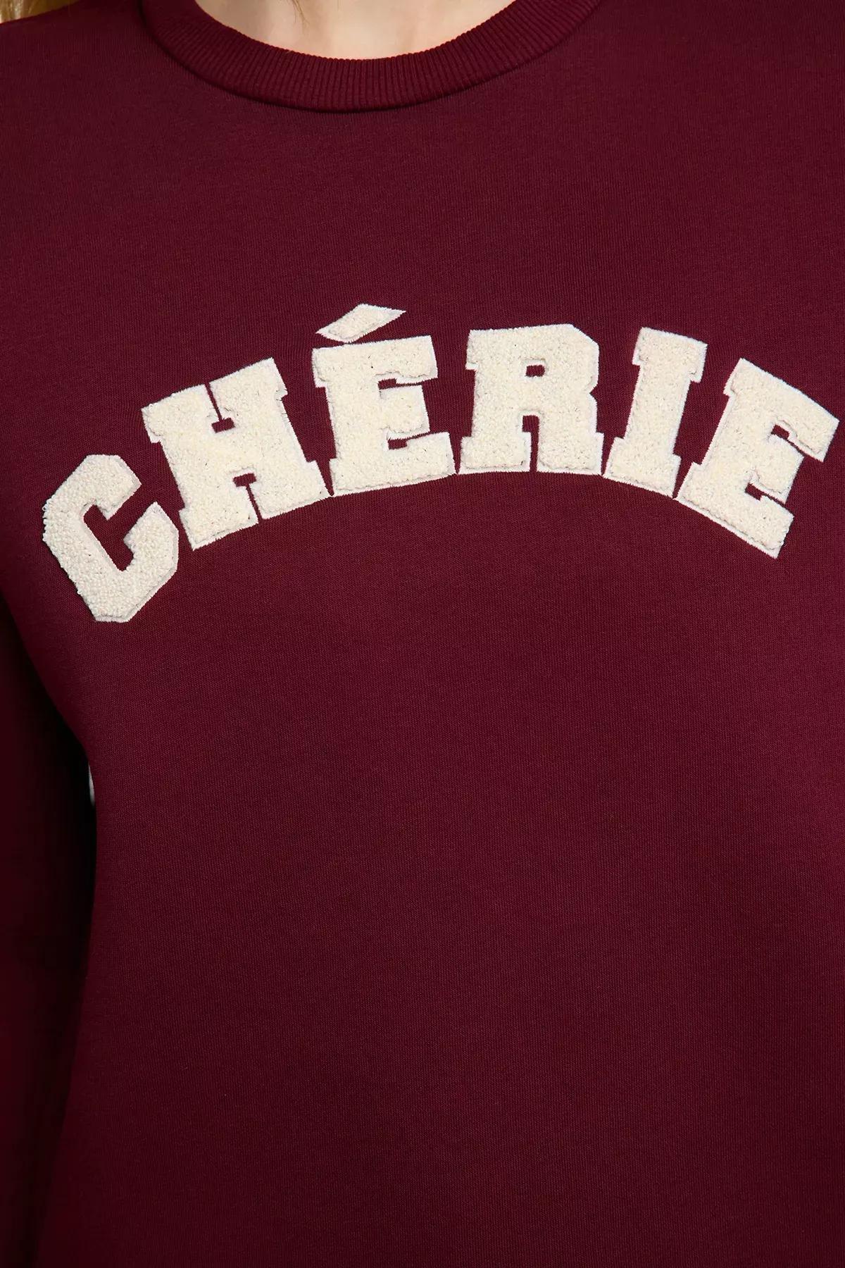 Red Polar Fleece Embroidered Sweatshirt, Burgundy, large image number 3