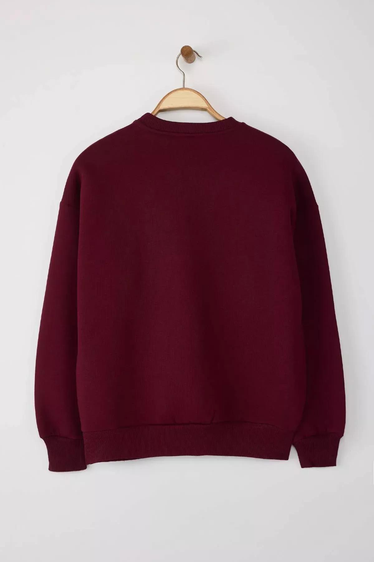 Red Polar Fleece Embroidered Sweatshirt, Burgundy, large image number 5