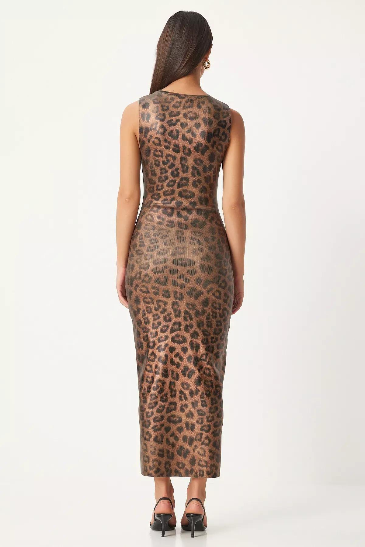 Multicolour Leopard Printed Tight Dress, , large image number 4