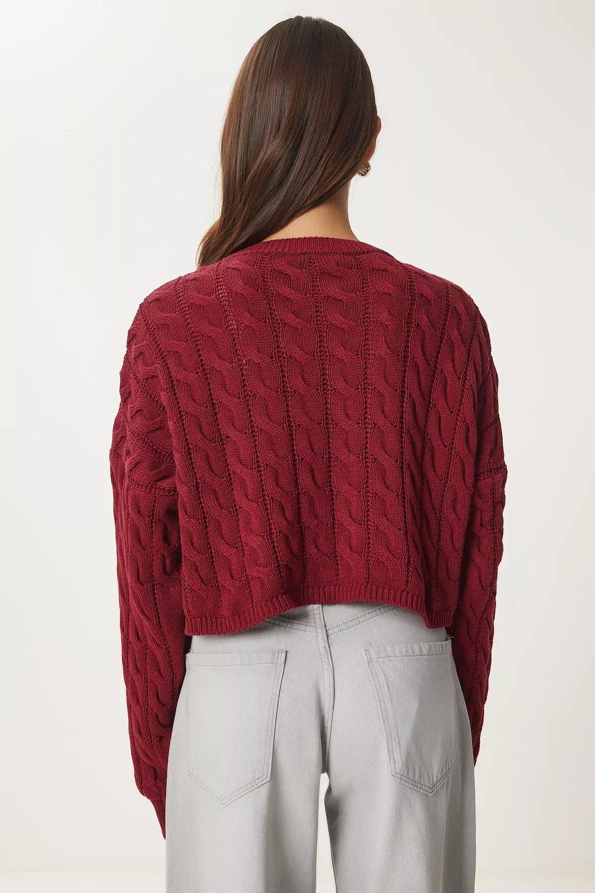 Burgundy Crew Neck Knitted Motif Knitted Sweater, Burgundy, large image number 5