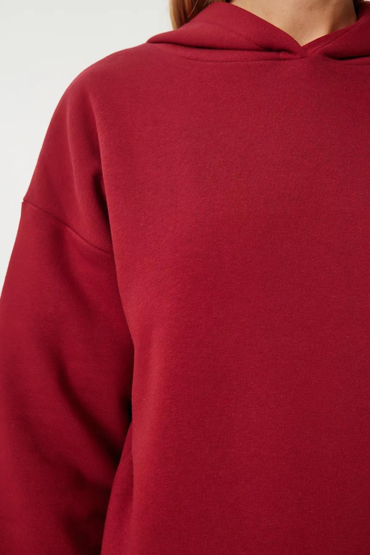 Red Hooded Sweatshirt, , large image number 4