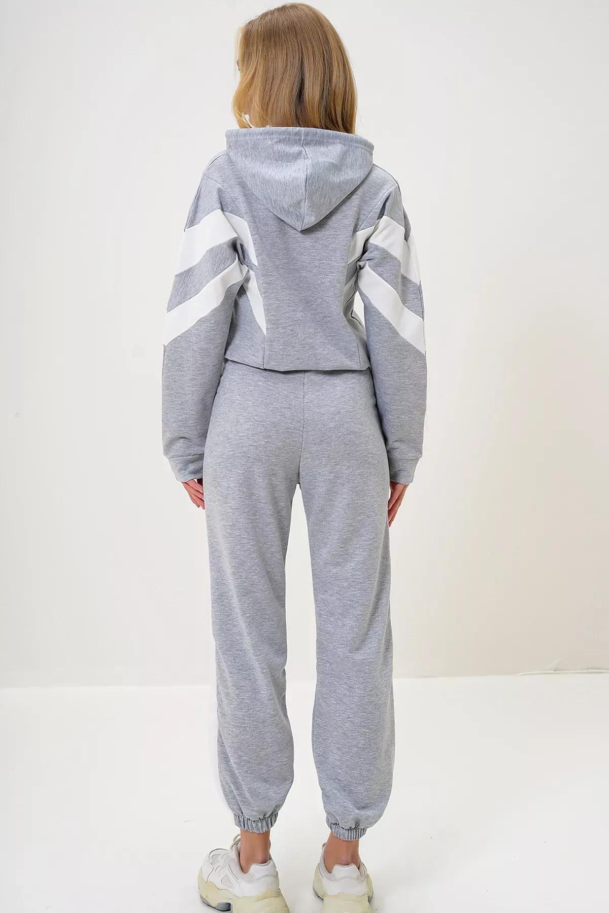 Grey Hooded Sweatshirt Tracksuit Set, , large image number 4