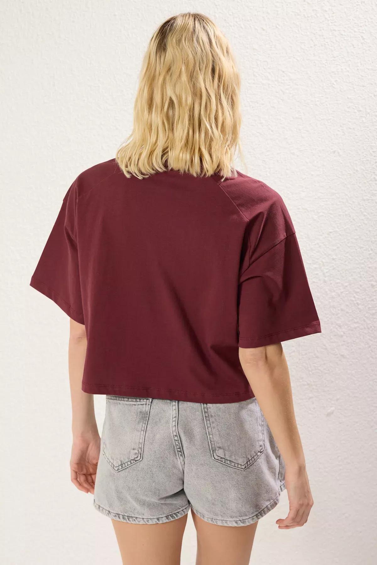 Red Relaxed Crop T-Shirt, C101_7277, large image number 4