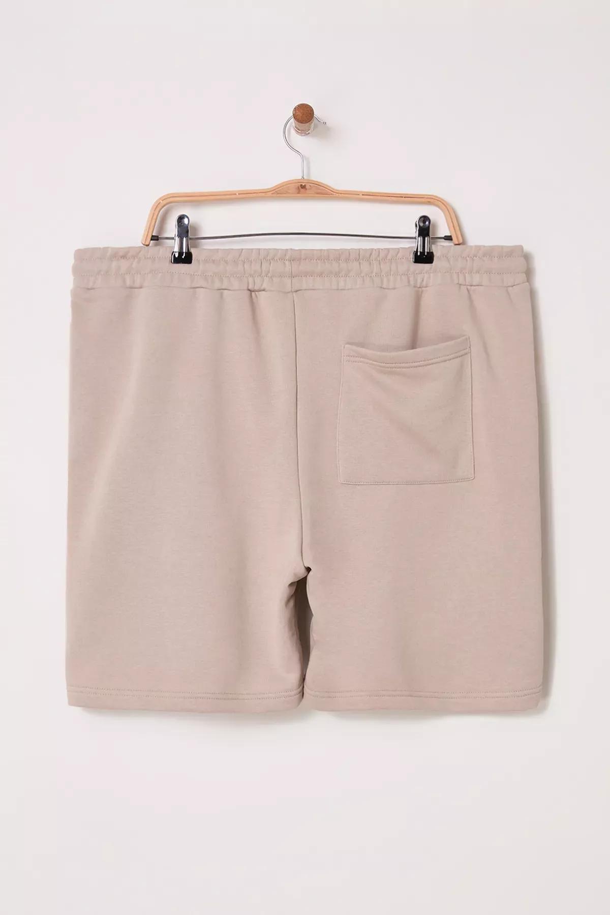 Beige Plus-Size Printed Shorts, , large image number 2