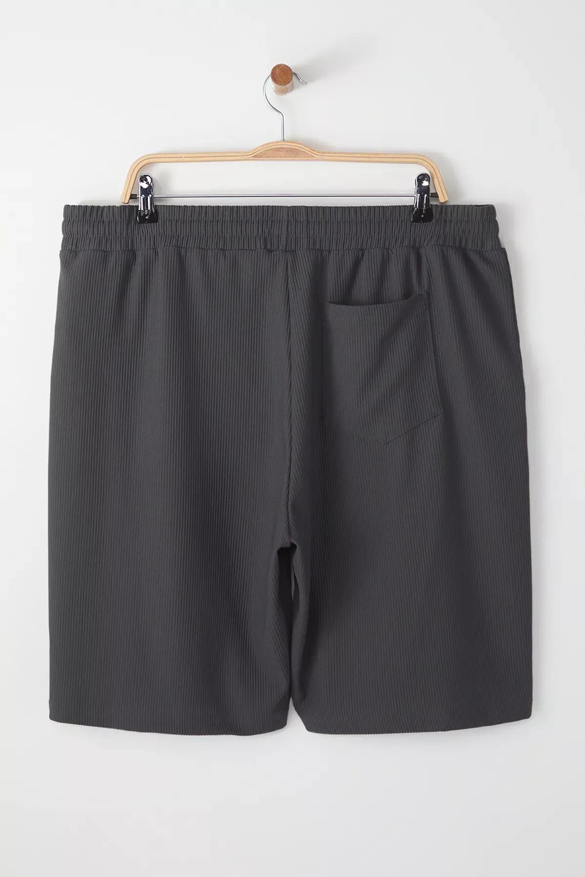 Grey Oversized Textured Plus-Size Shorts, , large image number 3