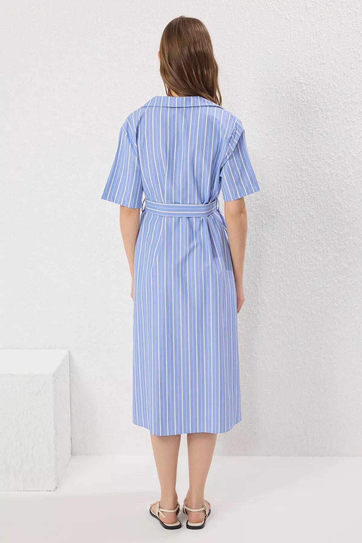 Blue Striped Maternity Shirt Dress, C101_7382, large image number 3