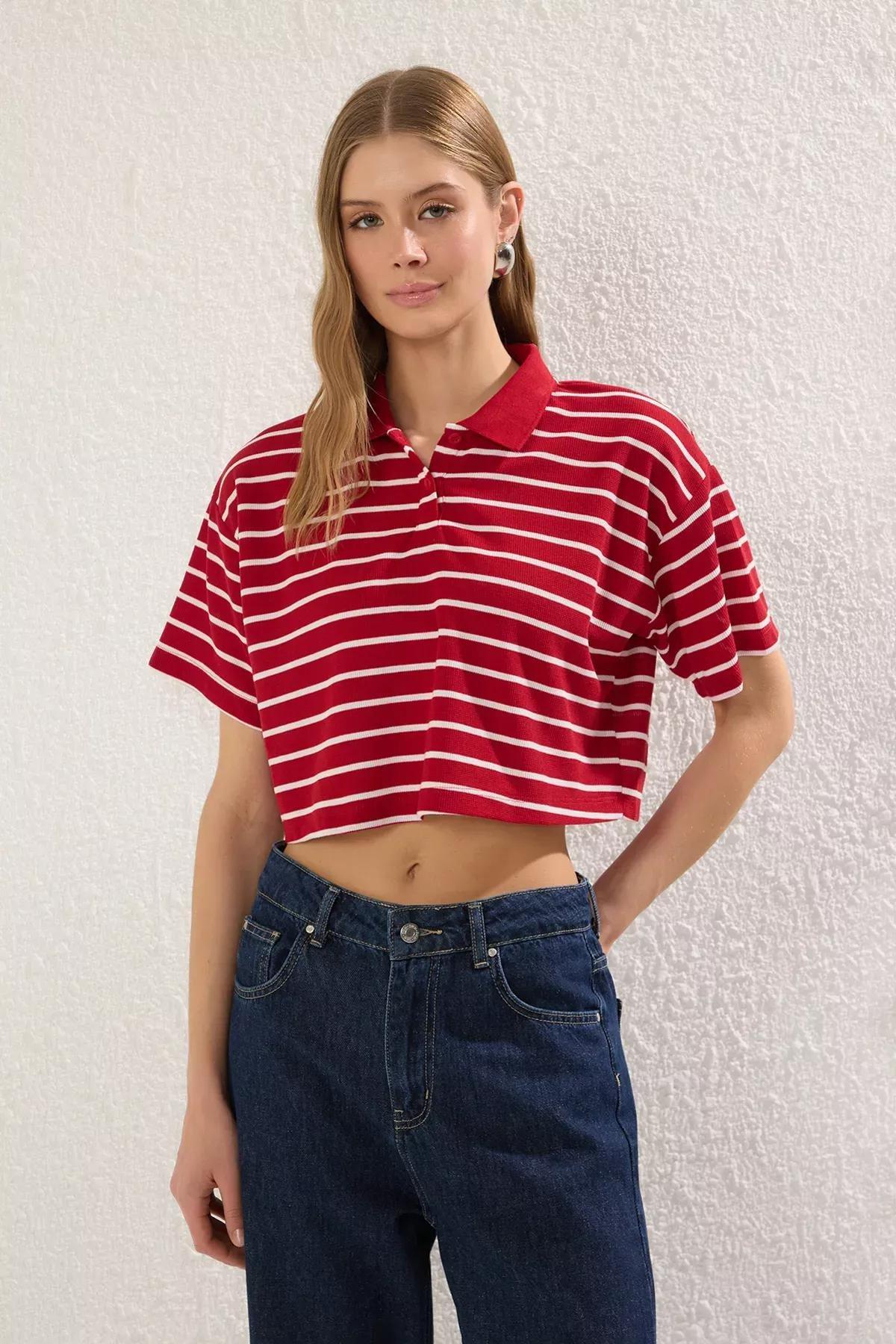 Red Striped Relaxed Crop T-shirt, Red, large image number 0