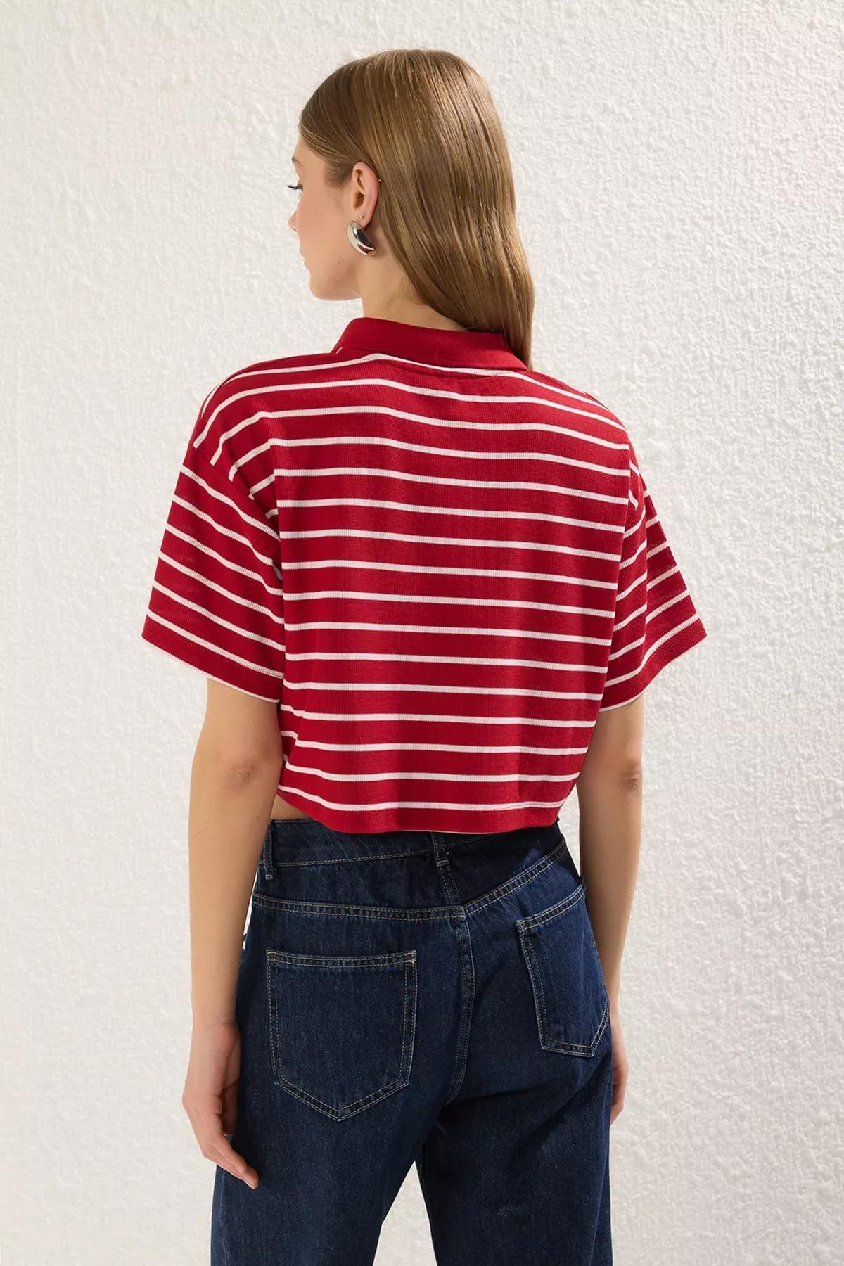 Red Striped Relaxed Crop T-shirt, Red, large image number 3