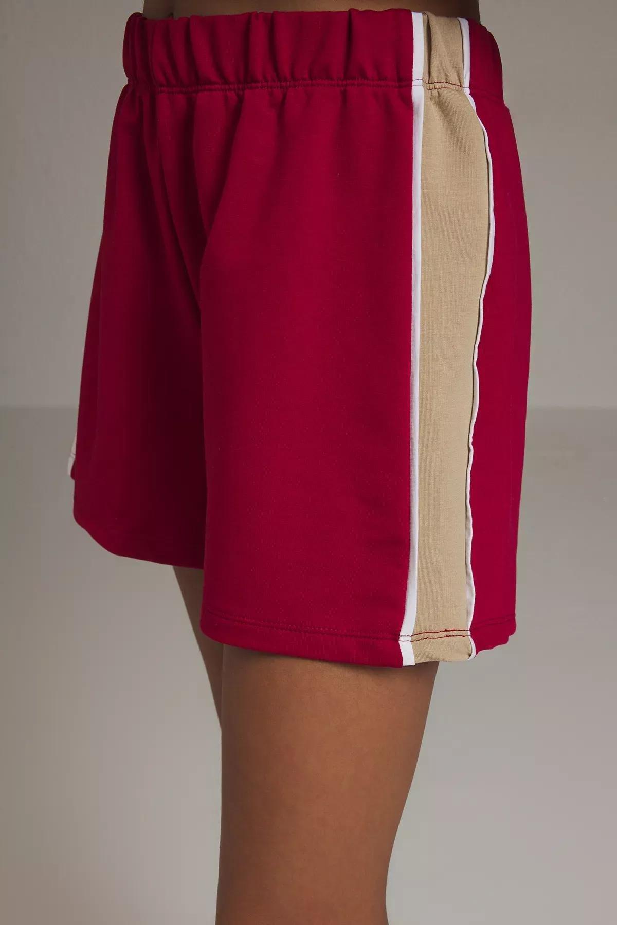 Burgundy Color Block Shorts, Burgundy, large image number 2