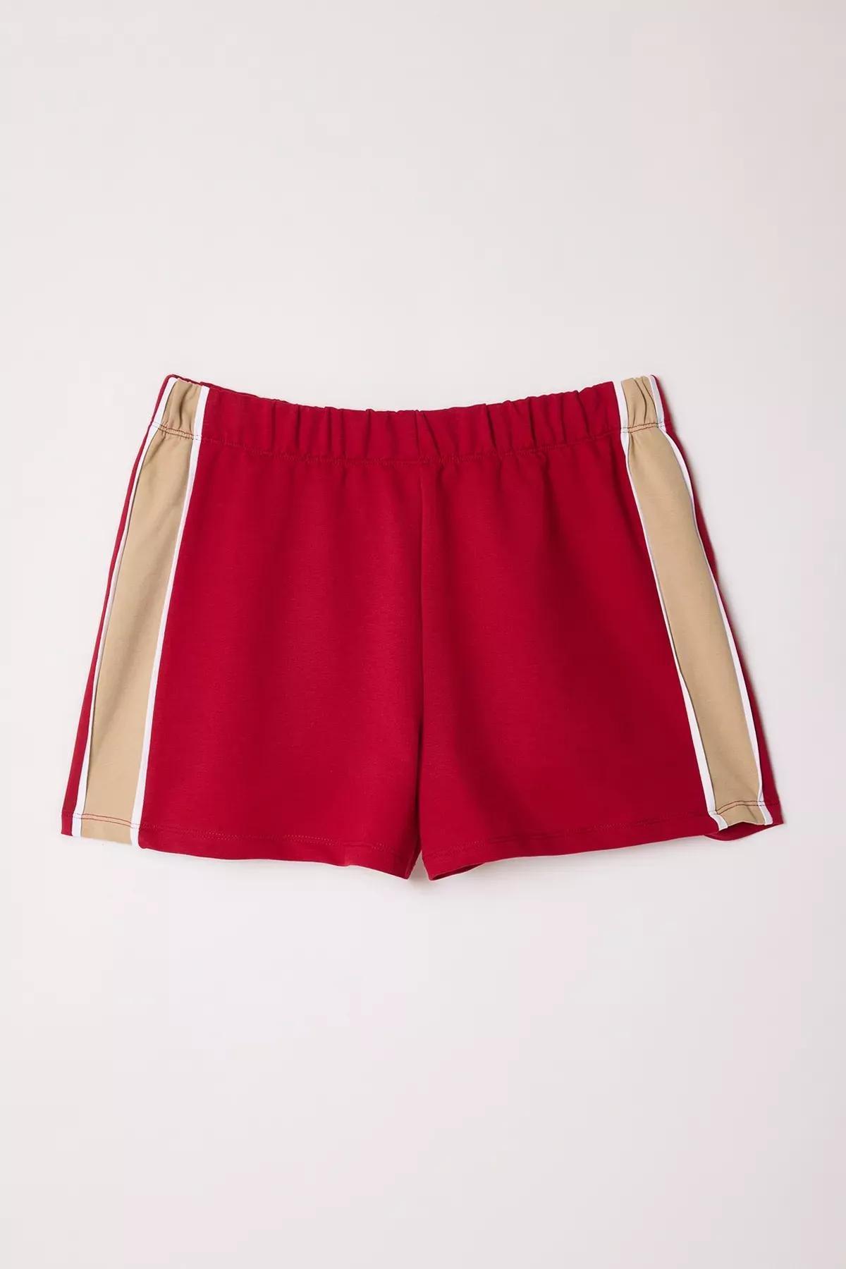 Burgundy Color Block Shorts, Burgundy, large image number 4