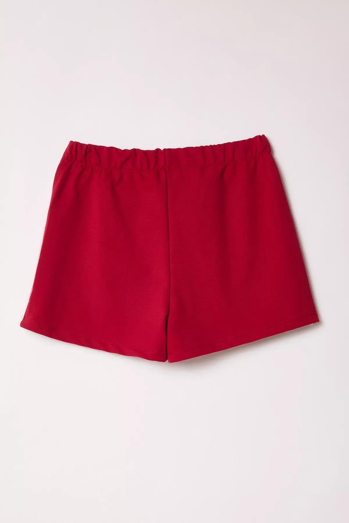 Burgundy Color Block Shorts, Burgundy, large image number 5