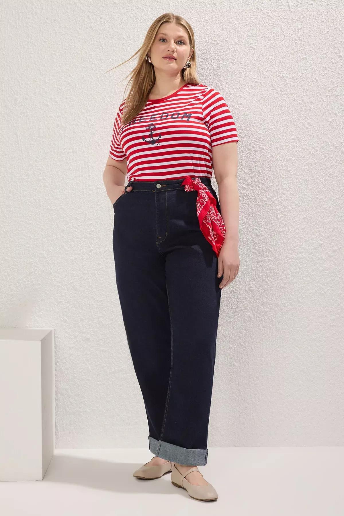 Red Striped Printed Plus-Size T-Shirt, , large image number 1