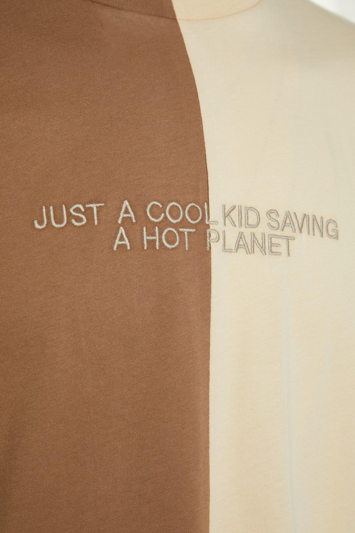 Brown Oversize T-Shirt, , large image number 6